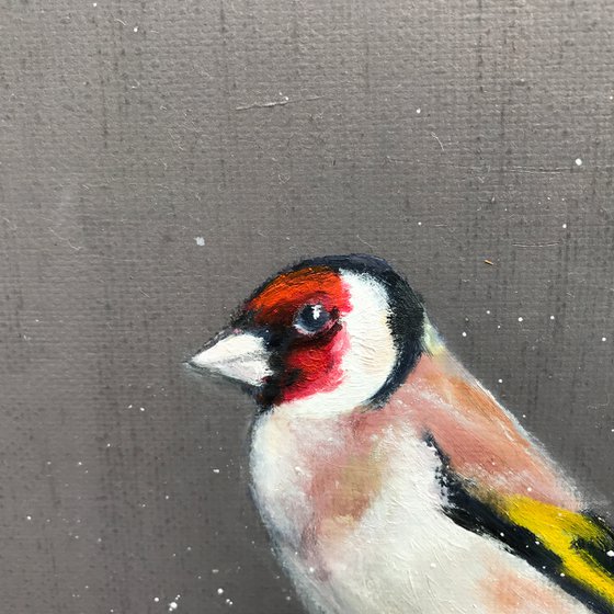 Goldfinch ~ on Cherry Blossom