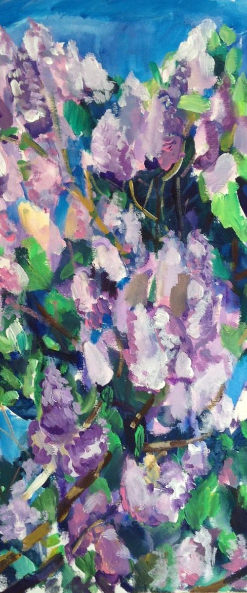 Lilac bushes in Marsovo by Oxana Raduga