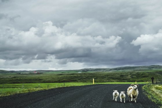 ICELAND NATURAL TRAFFIC