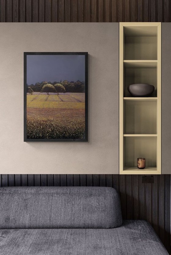 Lavender Fields 1