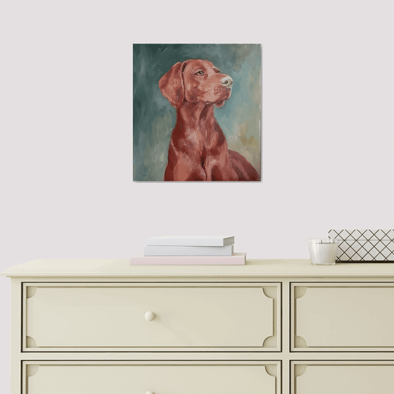 Vizsla