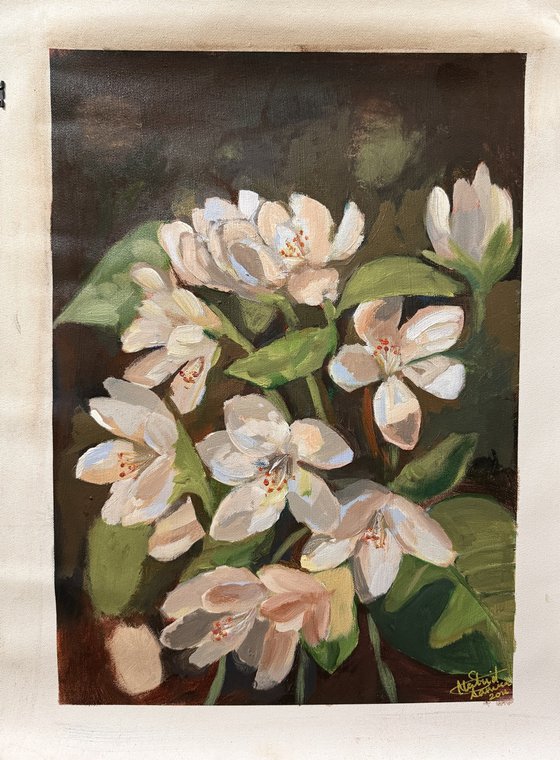 Blossoming Quietly