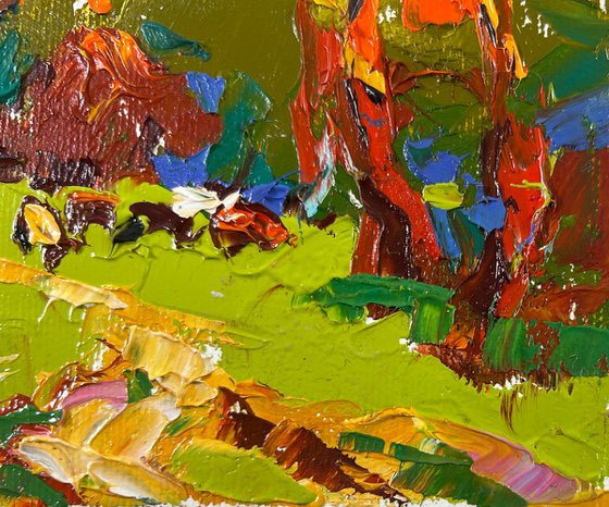 Summer evening in the forest