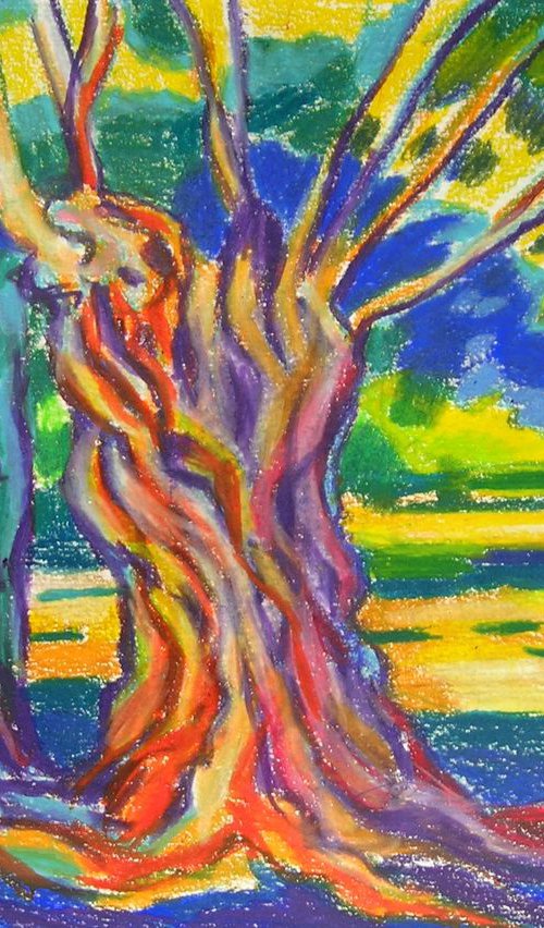 Two old olive trees by Maja Grecic