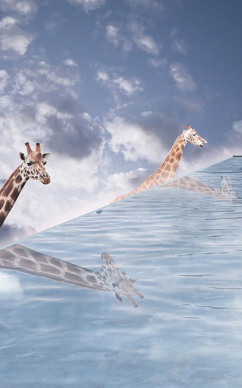 Giraffe Sky Pool Day by Vanessa Stefanova