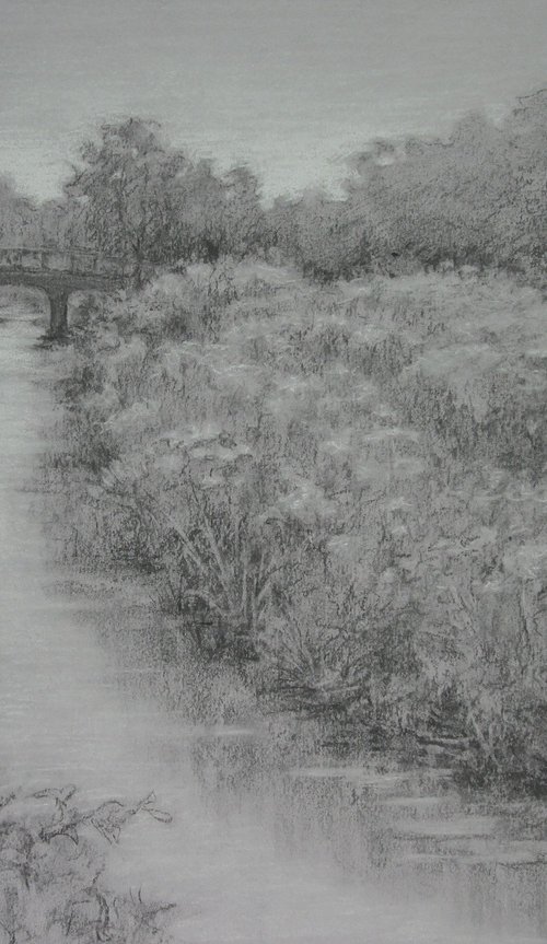 Summer Day, DuPage River by John Fleck