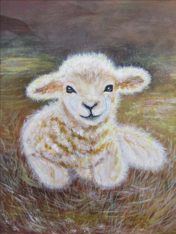 Small lamb