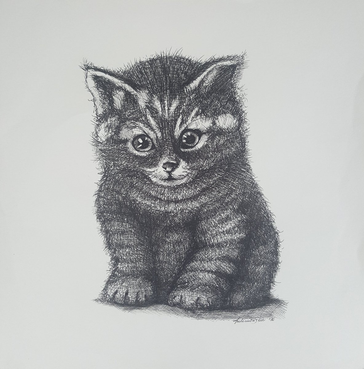 Kitten by Maja Tulimowska - Chmielewska