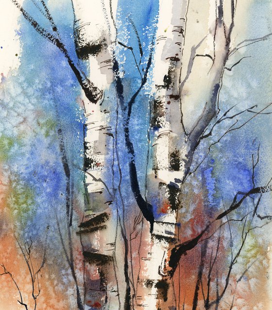 Birch Trees