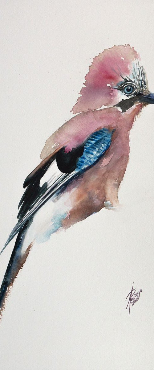Eurasian Jay (Garrulus glandarius) by Andrzej Rabiega