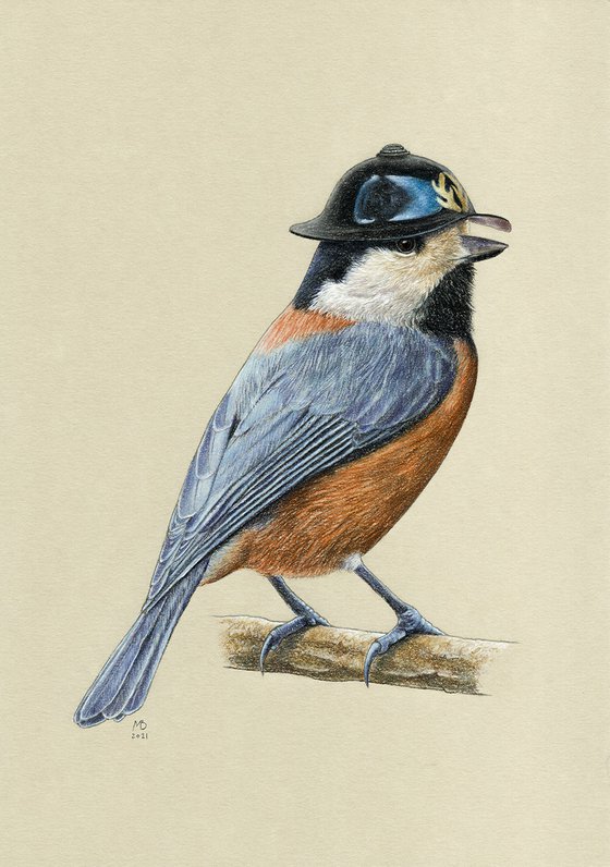 Original pastel drawing bird "Varied tit"