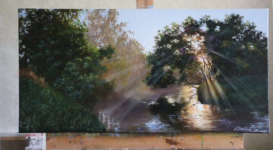 Sunlight Through River Trees