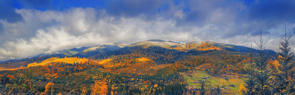 Bright colors of autumn. by Valerix