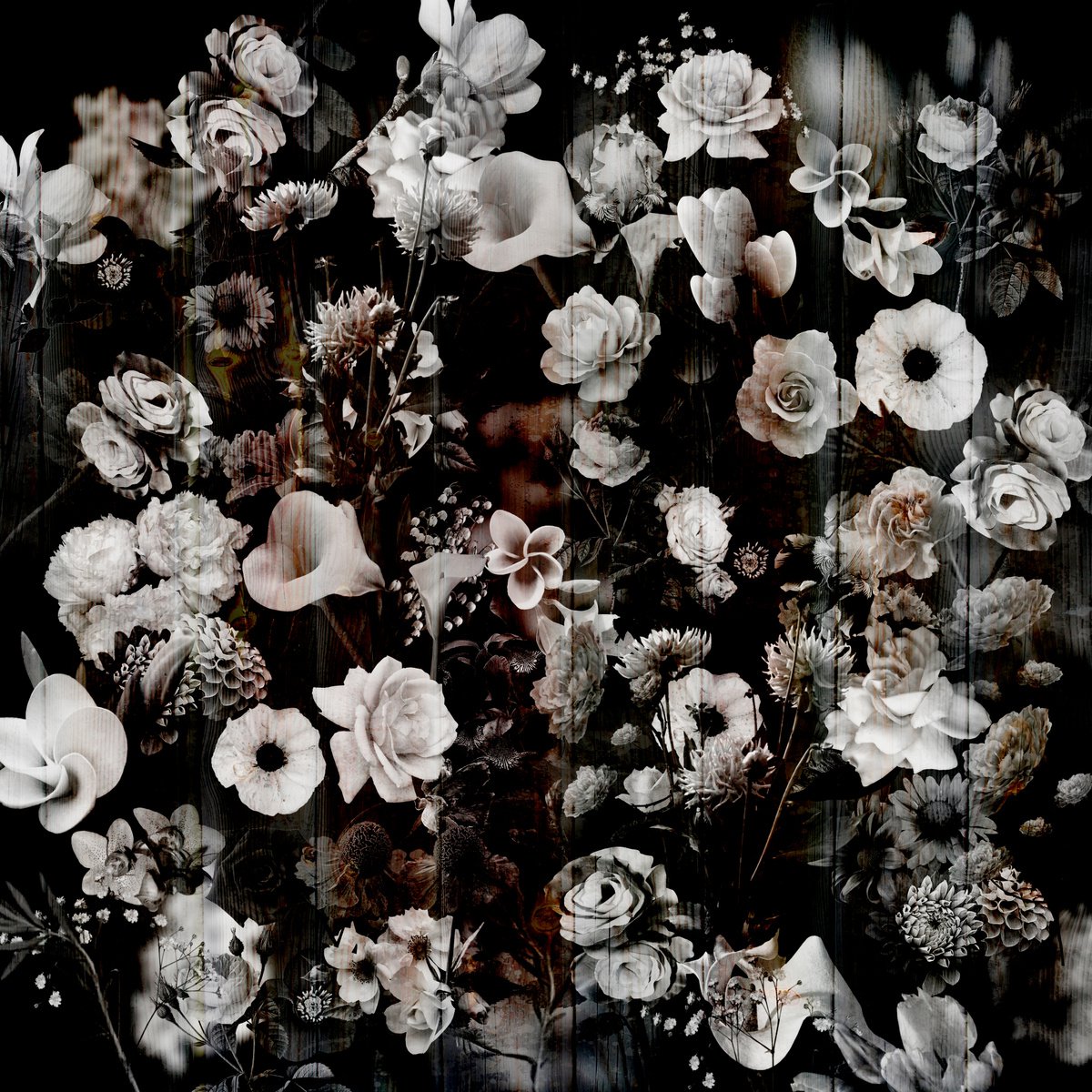 Night garden by Larisa Siverina