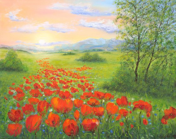 Poppy field by sunrise