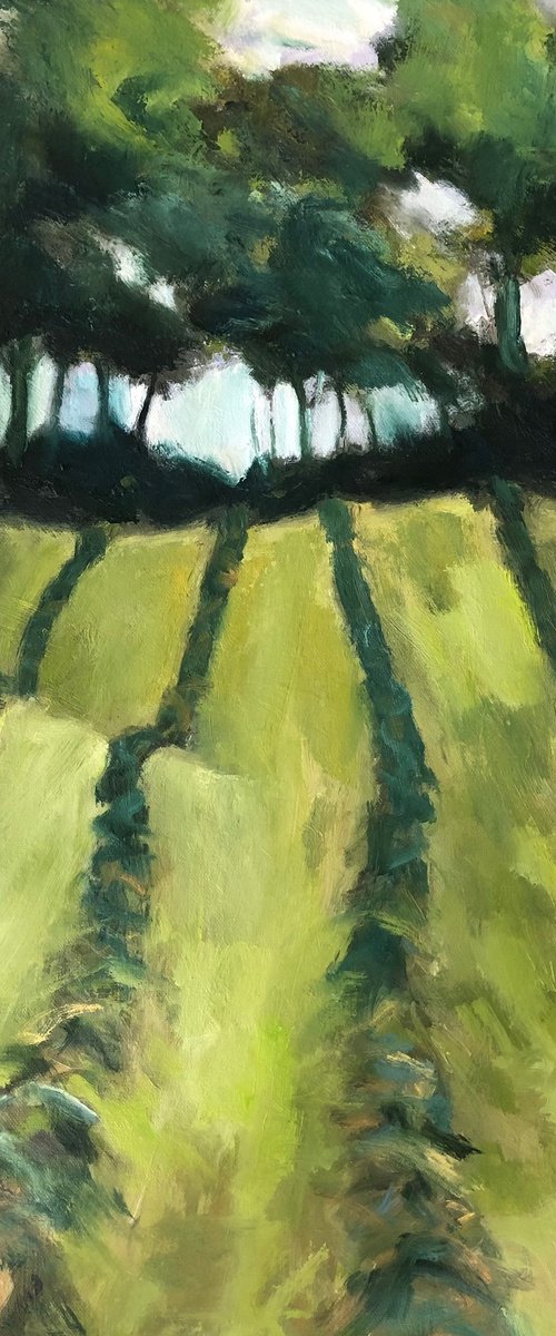 Harvest by Joanna Farrow