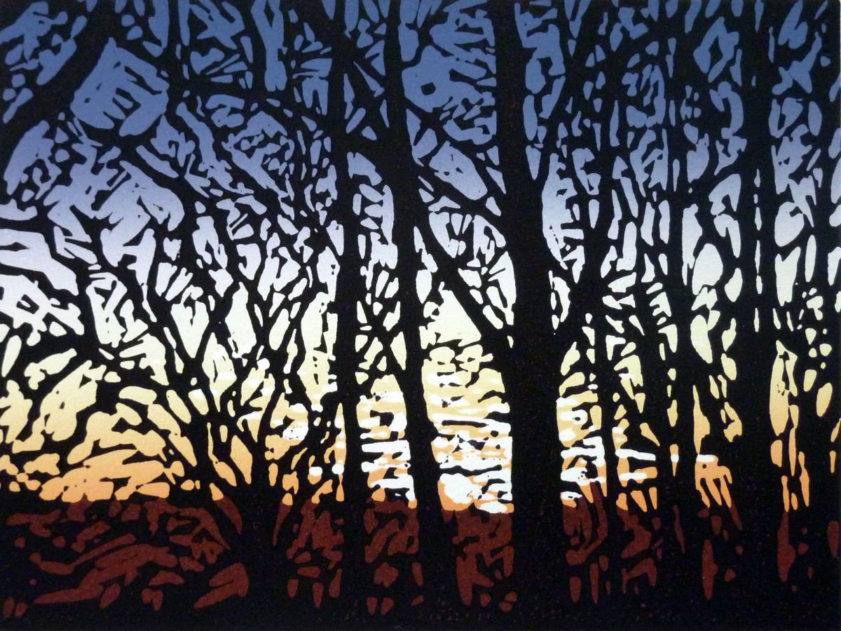 Stoke Wood Sunset by Alexandra Buckle