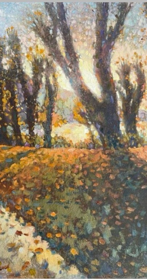 Autumn light by Nadezda Stupina