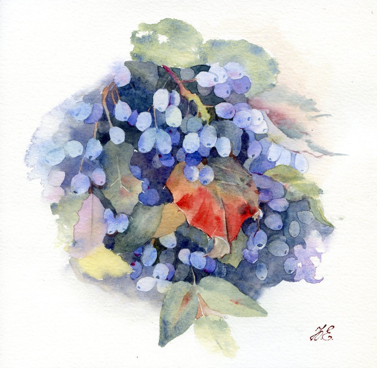 Berries, blue Magonia bush by Yulia Evsyukova