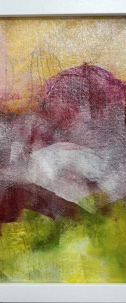Clouds on the Braise by Linda McDonald