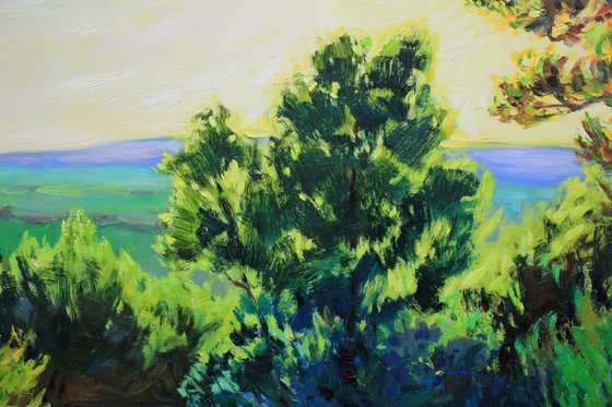 Summer Light