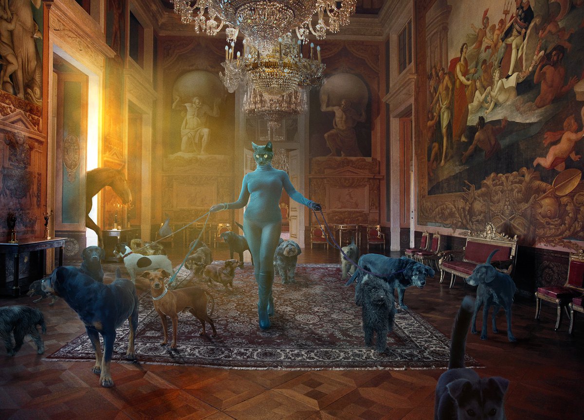 Surrealistic Animal Photograph By Nikolina Petolas, 26 X 18", Of Cat And Dogs And One Black, Original Artwork