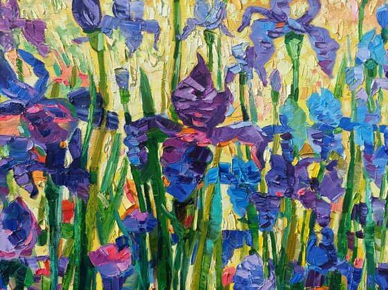 Light on the irises