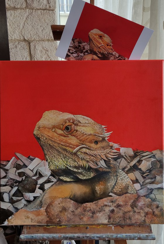 Iguana