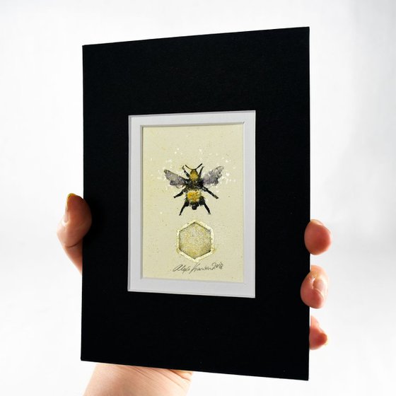 Bumble Bee (Bombus Pensylvanicus)