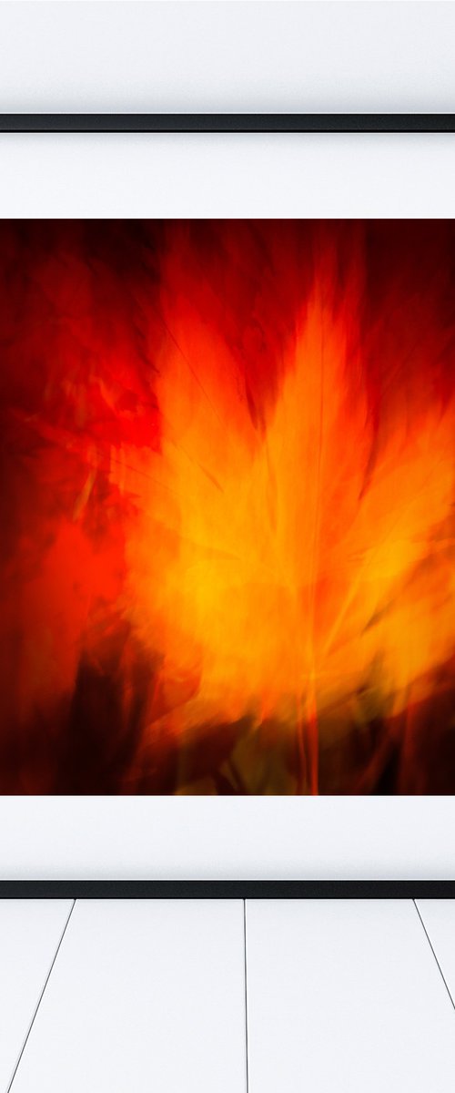 Firedance by Lynne Douglas