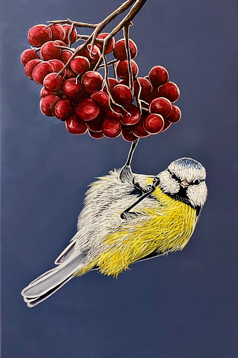 Impressionistic Animal Oil Painting By Elena Adele Dmitrenko, 16 X 24, Great Tit On A Rowan, Original Artwork