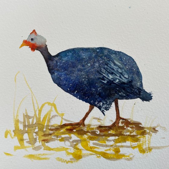 Guinea Fowl Framed