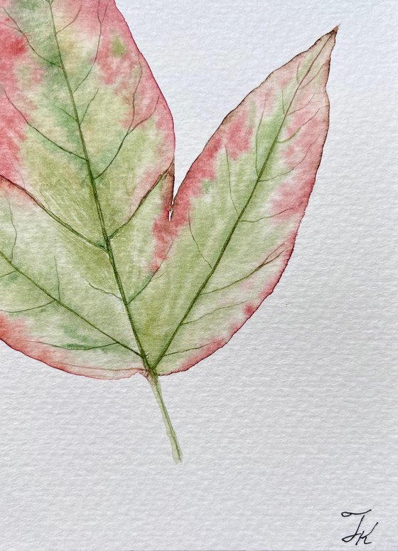 Autumn leaf Sketch #3