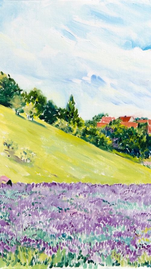 Lavender Field by Daria Galinski