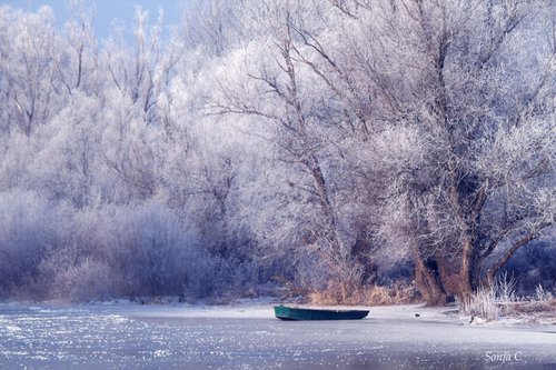 Dreamy winter silence by Sonja  Čvorović