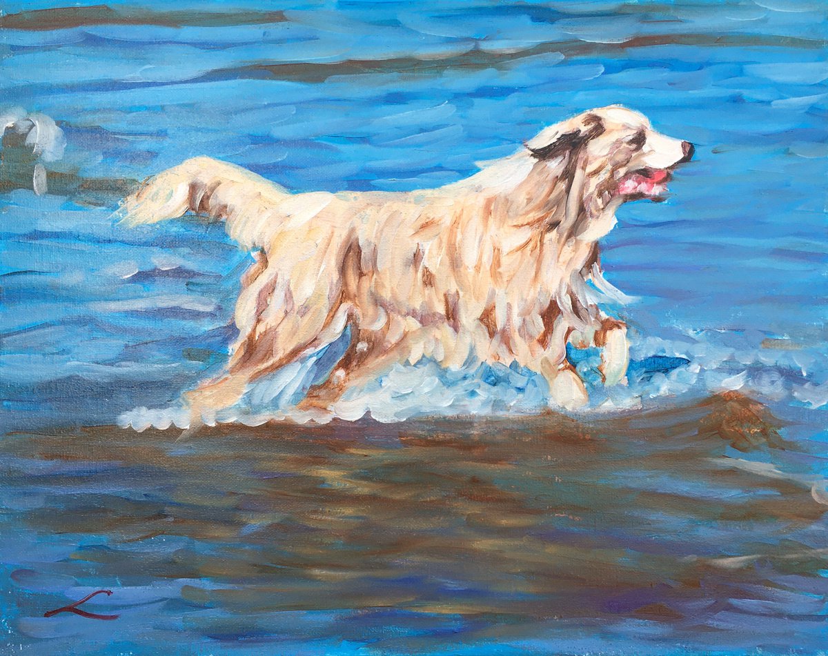 Impressionistic Animal Oil Painting By Elena Sokolova, 20 X 16, Wet Dog With A Red Ball, Original Artwork