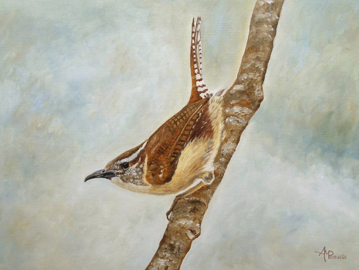 Impressionistic Animal Oil Painting By Angeles M. Pomata, 13 X 10, Sweet Carolina Wren, Original Artwork