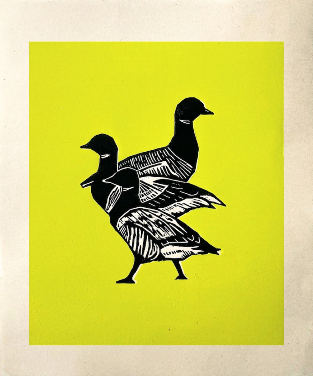 Animal Linocut By Jem Gooding, 8 X 10, Three Brent Geese Lime Edition, Original Artwork
