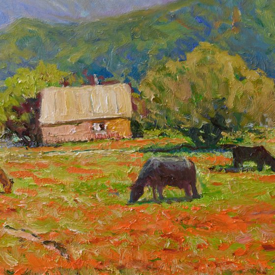 Farms in California