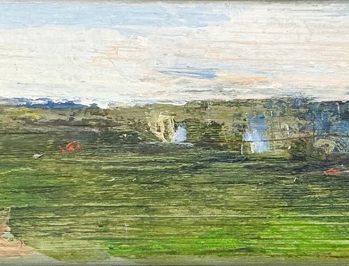 Allotment Walk by Sandra Haney