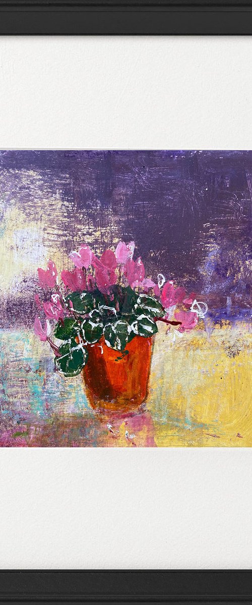 Mum's Cyclamen in Flower pot pink & yellow tones framed by Teresa Tanner