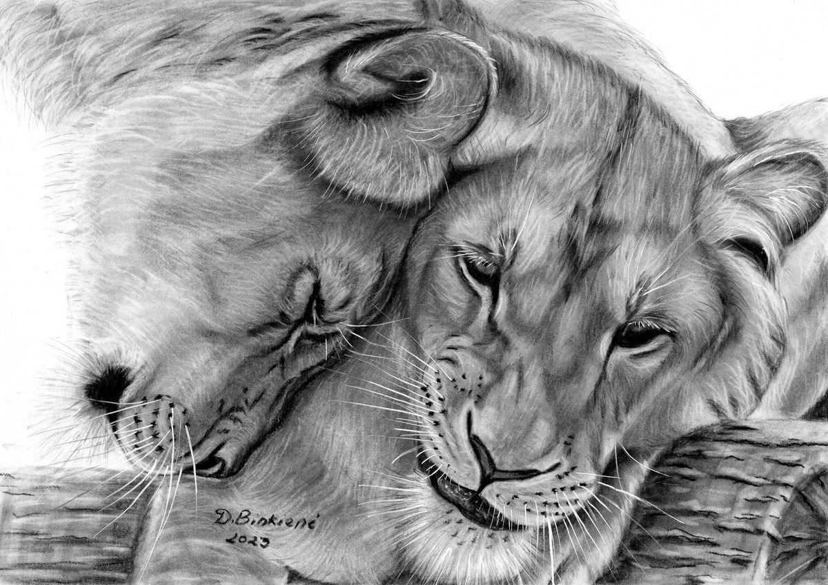 Lionesses by Dalia Binkiene