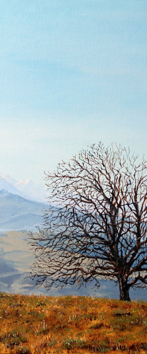Tree on a Hill above Hirzel by Tom Clay
