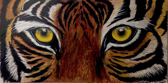 Tiger Eyes