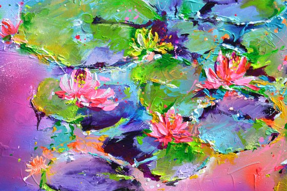 Water Lilies on the Pond