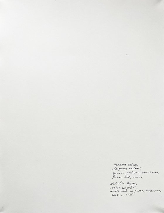 Urban seagulls. City seagulls.