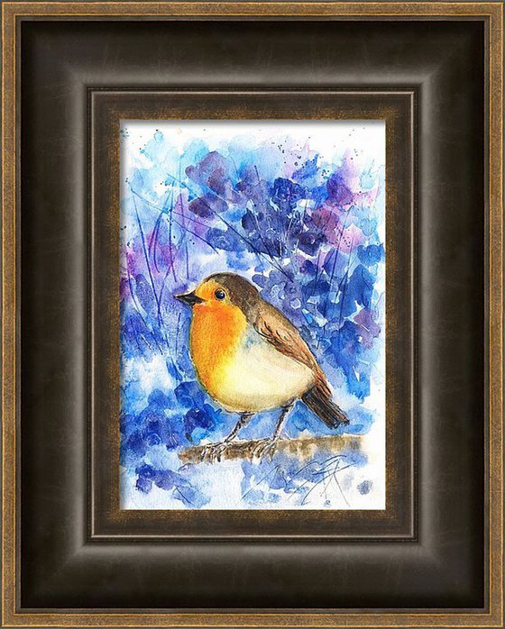 A Lonely Robin Bird