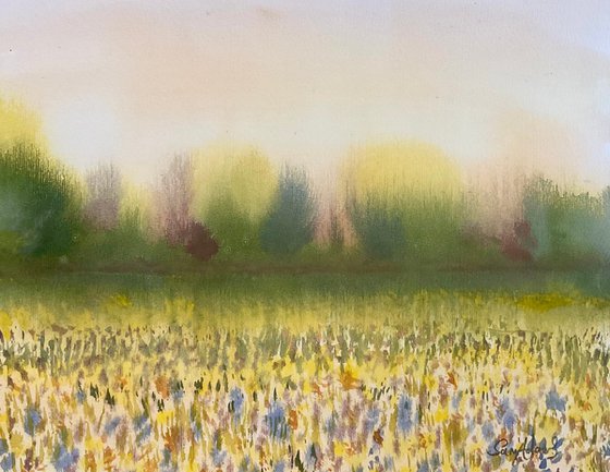 The beauty of Spring