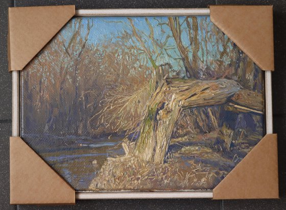 A broken tree near the Likhoborka River