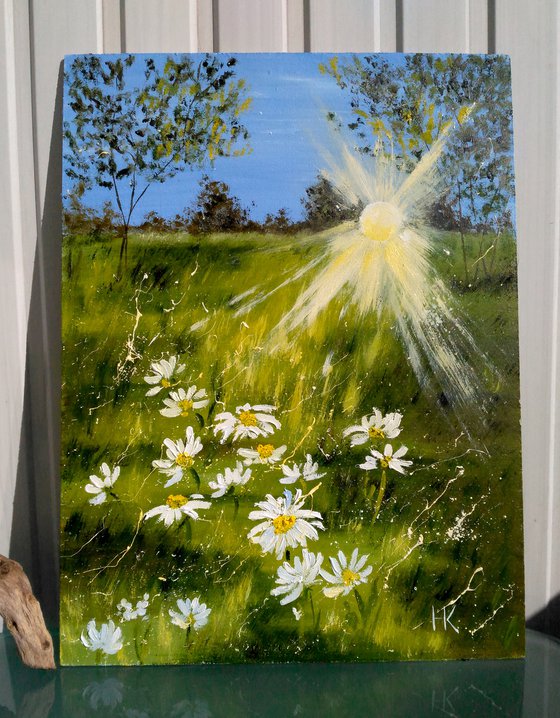 Daisy Painting Landscape Original Art Chamomile Oil Artwork Home Wall Art 12 by 16" by Halyna Kirichenko